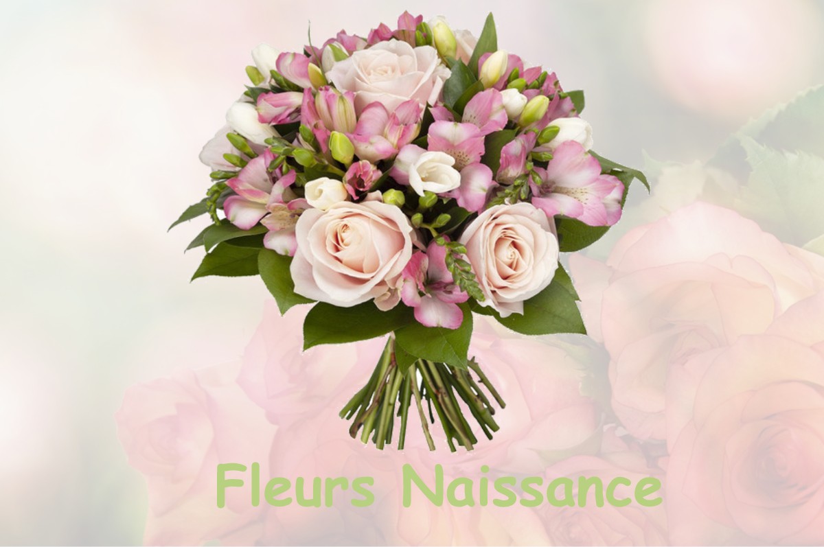 fleurs naissance CLAIREFOUGERE