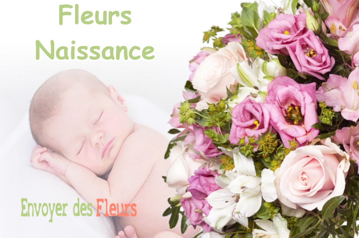 lIVRAISON FLEURS NAISSANCE à CLAIREFOUGERE